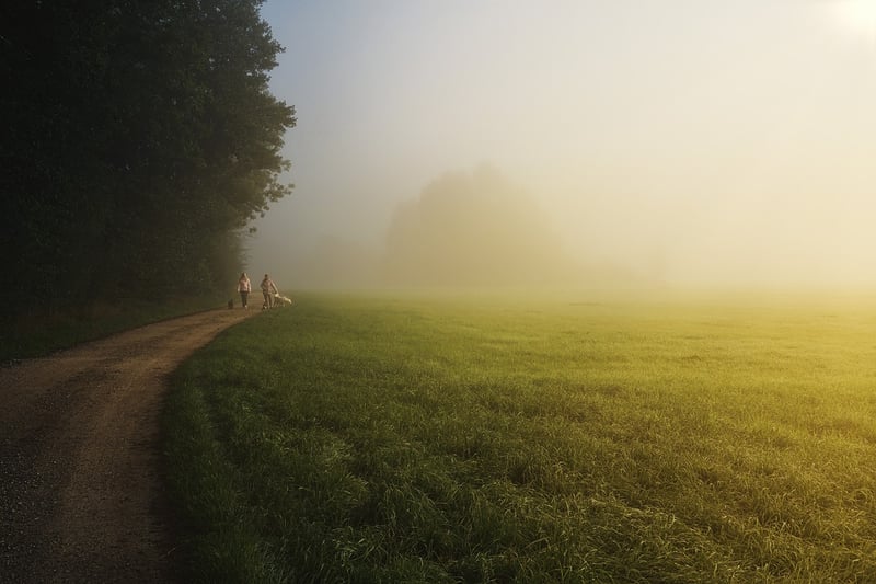 Nature Walk